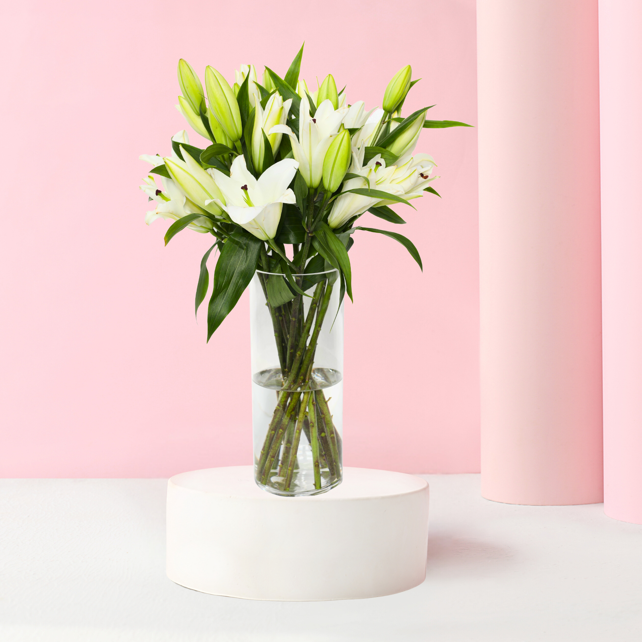 Luxurious Lily White
