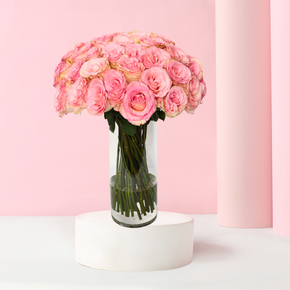 Baby Pink Cylinder