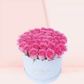 Pretty in Pink Bundle