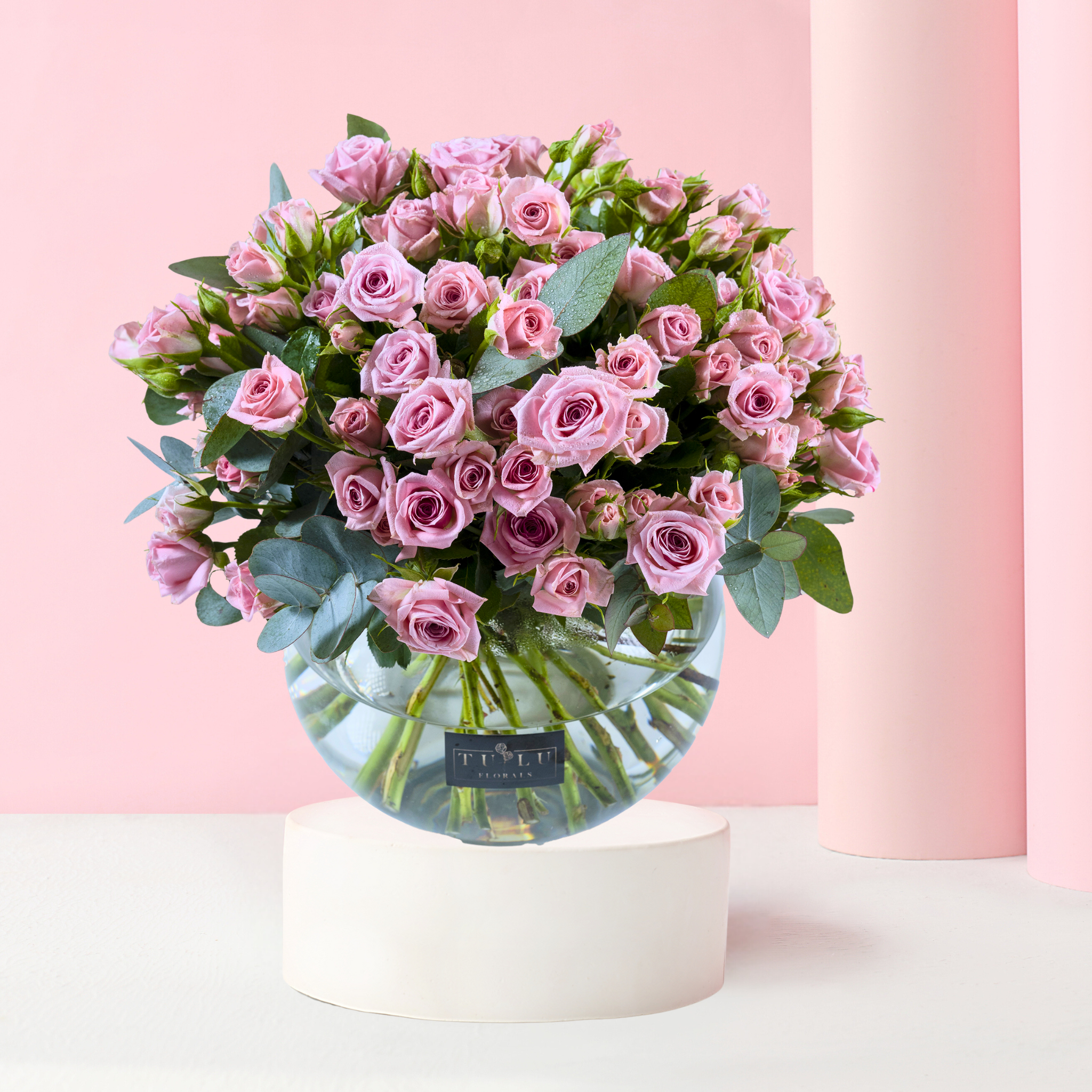 Pink Paradise