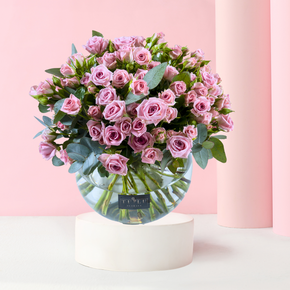 Pink Paradise