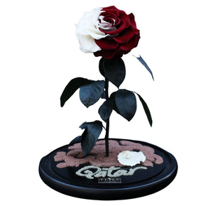 Beautiful Preserved Rose Flower