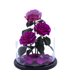Purple Forever Rose In Glass Dome