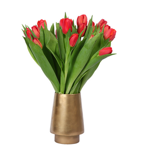 Modernistic Tulips