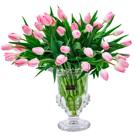 DYNASTY PINK TULIPS